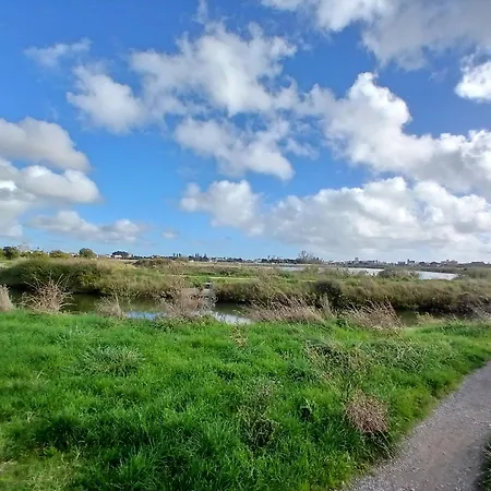 Cygne I Jolie Maison Marais D'olonne I Jacuzzi Ferienhaus Les Sables-dʼOlonne