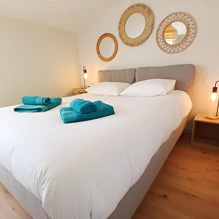 Cygne I Jolie Maison Marais D'olonne I Jacuzzi *