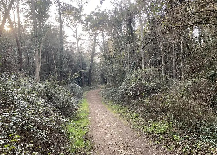Cygne I Jolie Maison Marais D'olonne I Jacuzzi