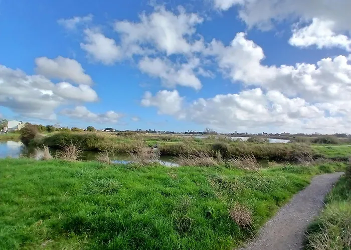 Cygne I Jolie Maison Marais D'olonne I Jacuzzi 펜션 Les Sables-dʼOlonne