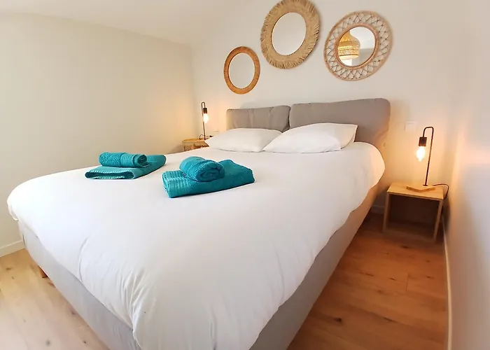 Cygne I Jolie Maison Marais D'olonne I Jacuzzi *